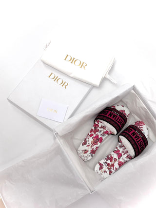 Christian Dior D Way Leather Mules Multicolor