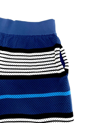 Burberry Blue White Black Stripe Mesh Shorts