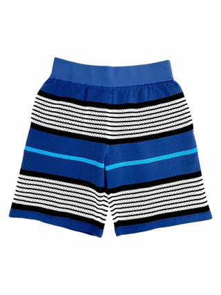 Burberry Blue White Black Stripe Mesh Shorts