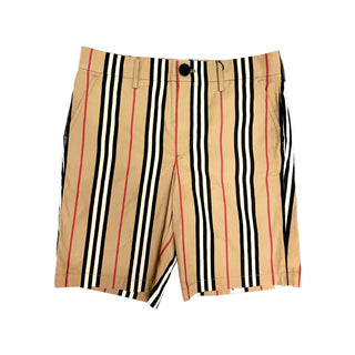 Burberry Classic Design Stripes Shorts