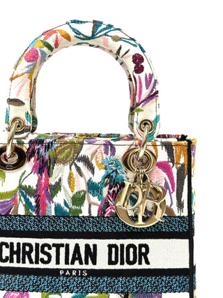 Christian Dior Medium MultiColor D Lite