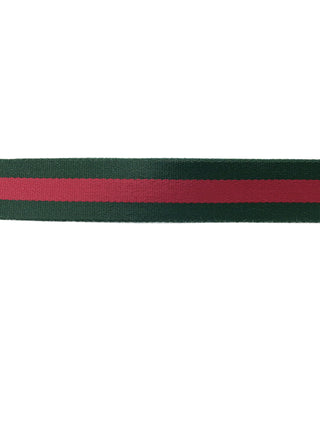 Gucci Classic Color Belt with Silver Blondie Buckle