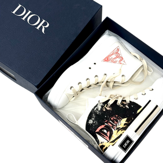 Christian Dior B23 High Top AsteroDior Abstract Logo Sneakers