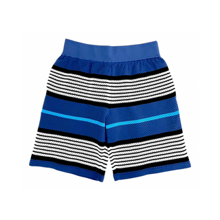 Burberry Blue White Black Stripe Mesh Shorts