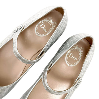 Christian Dior Ballerina Shoes Lambskin Leather and Sequin Silver