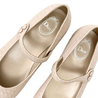 Christian Dior Ballerina Shoes in Sequin Pink