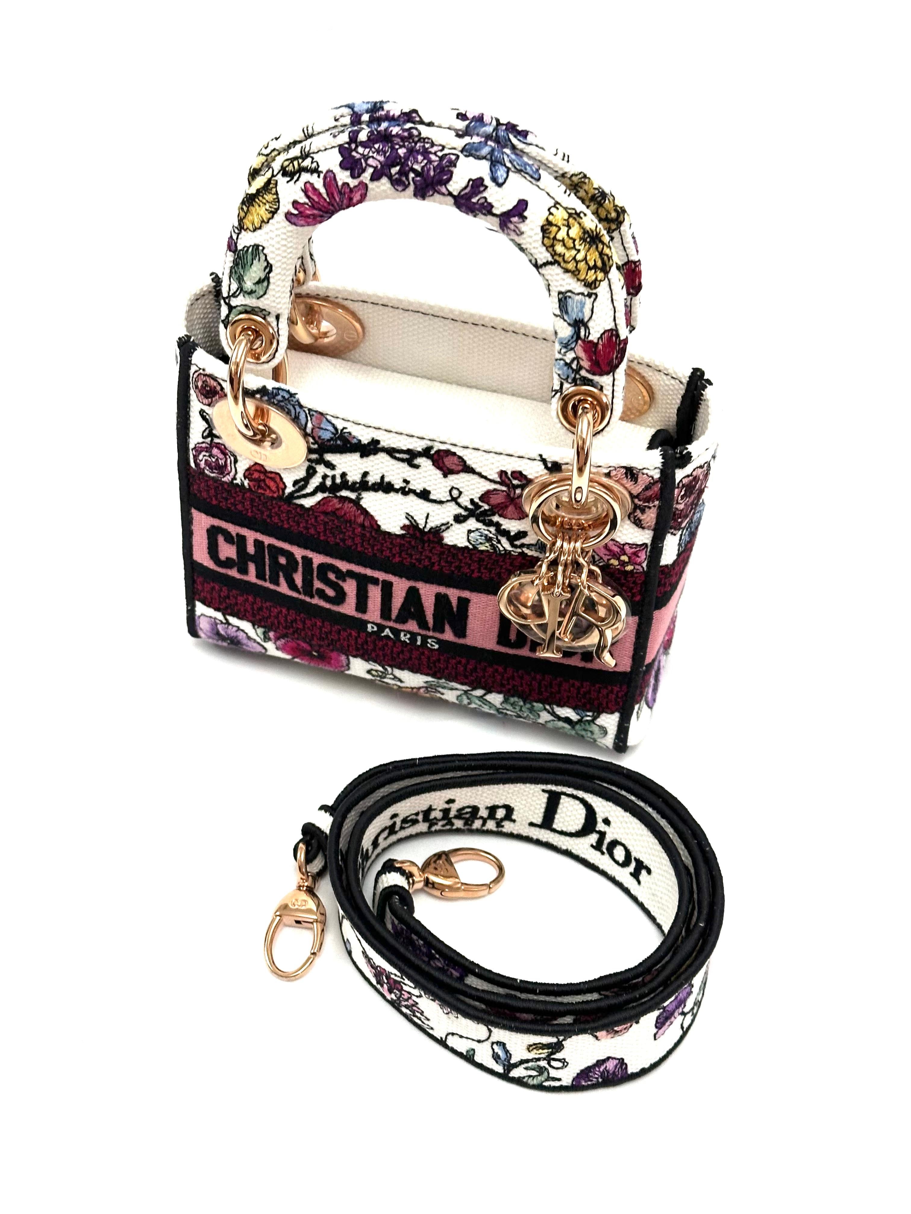 Lady Dior Mini D Lite Multi Color