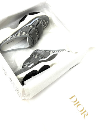 Christian Dior D Wander Sneakers Oblique Gray