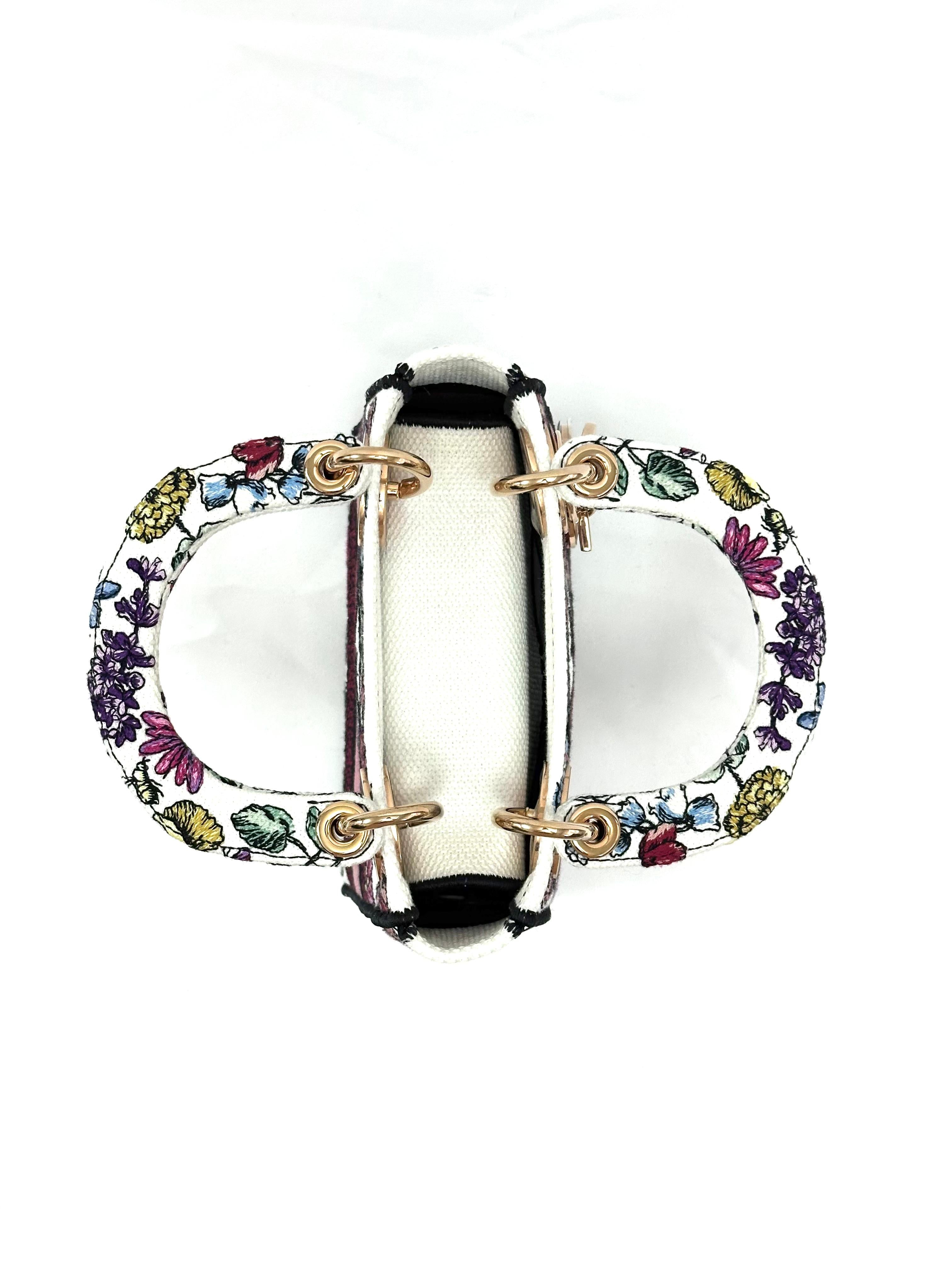 Lady Dior Mini D Lite Multi Color