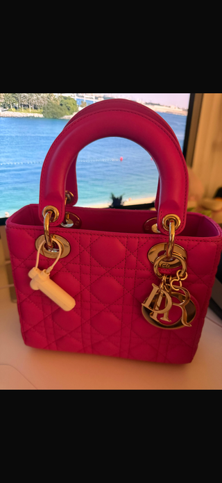 Christian Dior Small Pink
