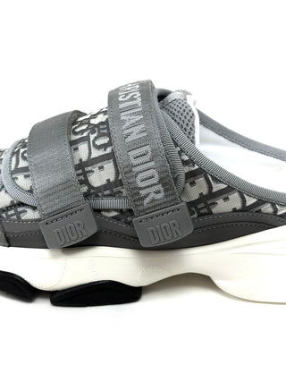 Christian Dior D Wander Sneakers Oblique Gray