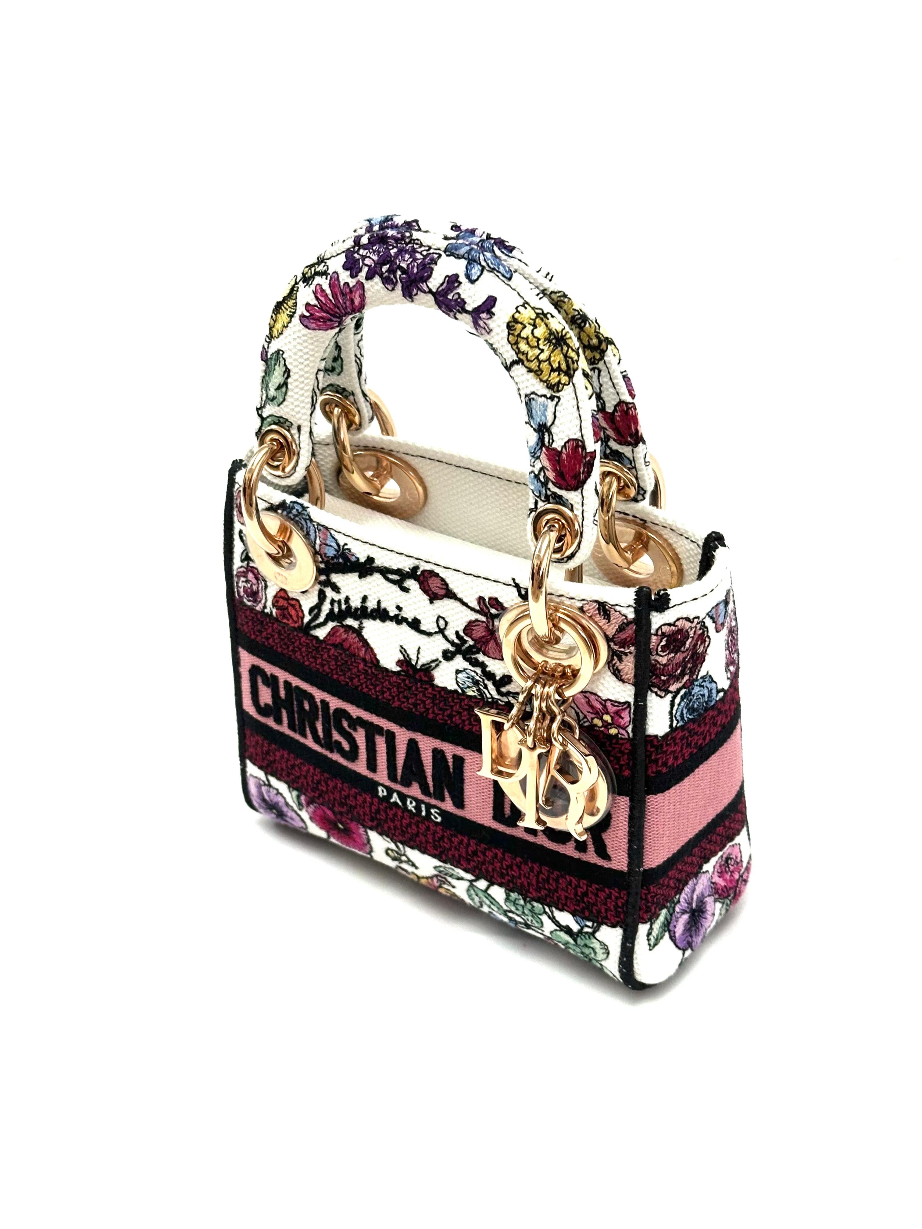 Lady Dior Mini D Lite Multi Color