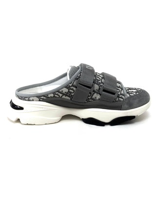 Christian Dior D Wander Sneakers Oblique Gray