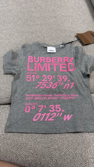 Burberry Grey With Pink Print Shirt