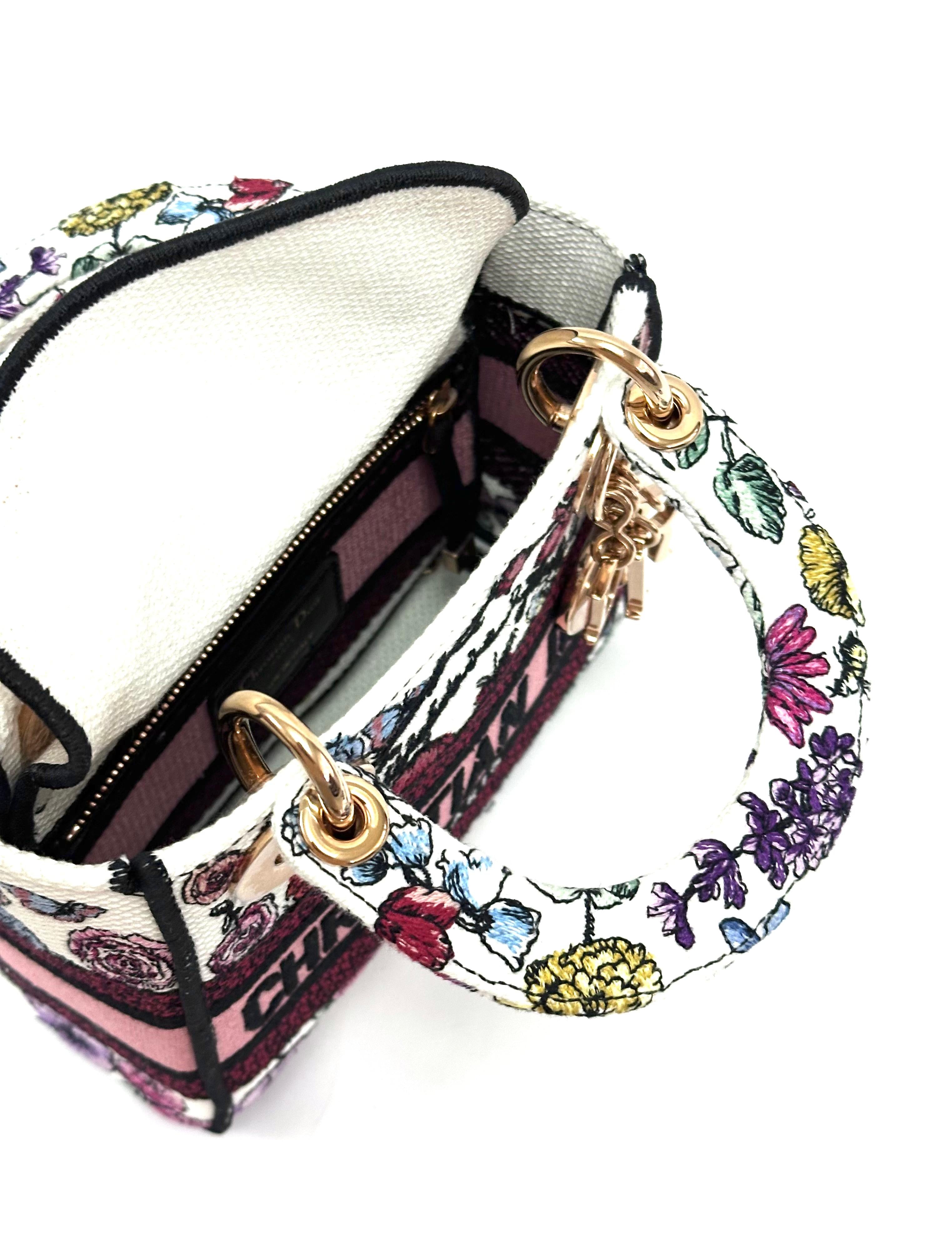 Lady Dior Mini D Lite Multi Color
