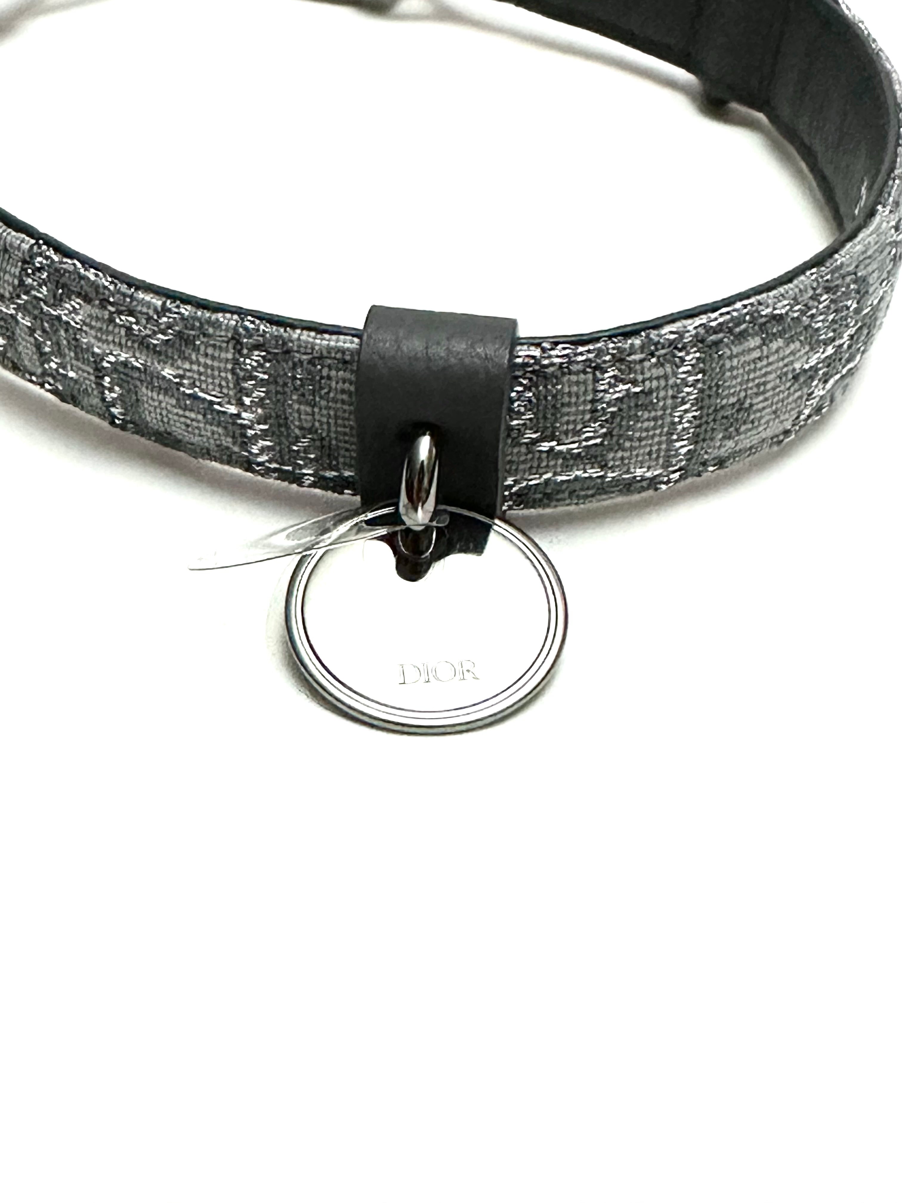 Christian Dior Dog Tag Oblique