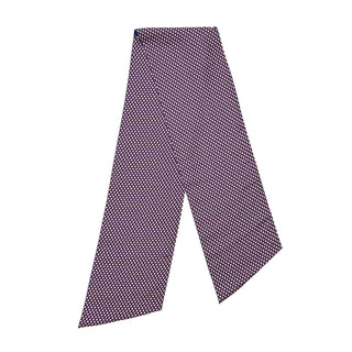 Hermes Mors ET Tresses Silk Maxi Twilly