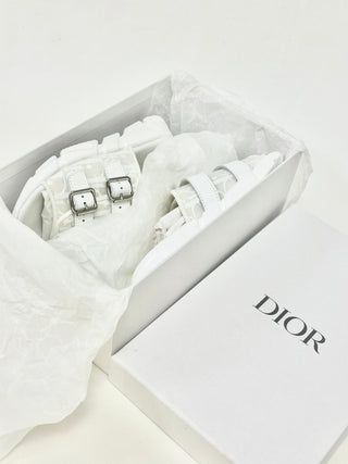 Christian Dior Oblique Slides
