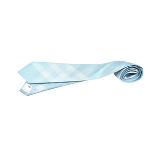 Burberry Silk Tie in Baby Blue Caro Patch
