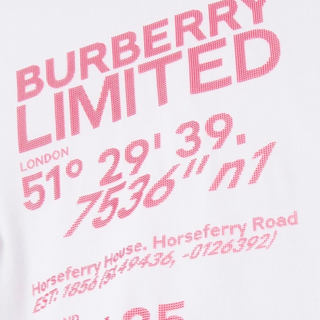 Burberry Shirt Dress with Print